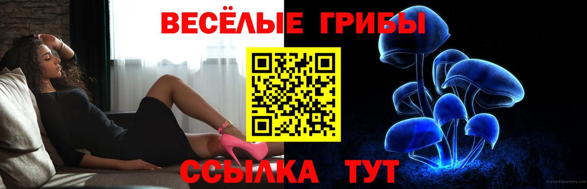 Магнитогорск  купить  сайты  Галлюциногенные грибы MAGIC MUSHROOMS  Вход с VPN  Псилоцибиновые грибы MAGIC MUSHROOMS 